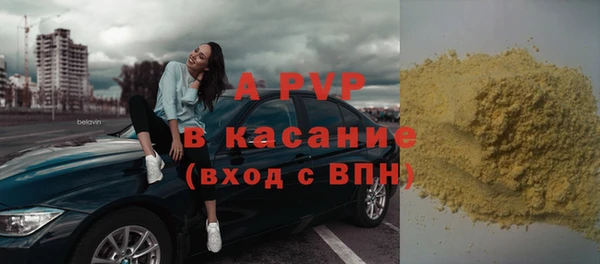 стафф Алексин