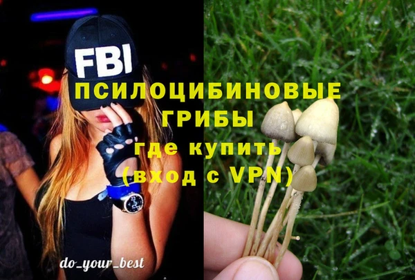 стафф Алексин