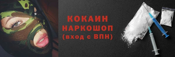 стафф Алексин